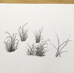 four drawings of grass are shown on a piece of paper