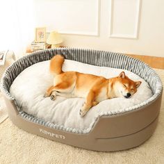 a dog laying on top of a bed in the middle of a living room next to a window