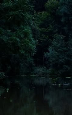 two people are sitting on a bench by the water in front of some green trees