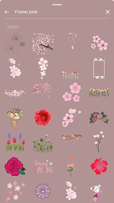 an image of flowers on a pink background