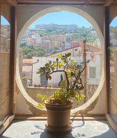 a potted plant sitting on top of a window sill in front of a city