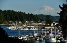 boats are docked in the harbor with a snow capped mountain in the backgroud