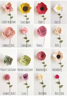 the different types of paper flowers are shown in this poster, which shows how to make them