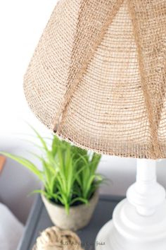 a lamp that is sitting on top of a table next to a potted plant