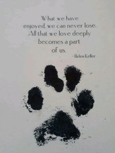 Dog Quotes Love, Pet Sympathy, Dog Tattoos, Dog Memorial