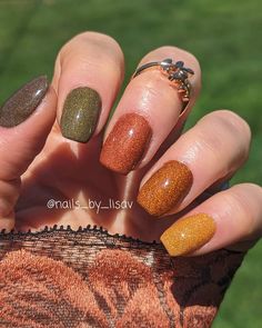 Autumn Treasures Gradient Set / Aspen, Sienna, Fireside, Cocoa, Mossy. - Etsy Autumnal Nail Colours, Fall Rainbow Nail Colors, Late Autumn Nails, Burnt Orange Sparkle Nails, Glittery Orange Nails, November Nail Colors Dip Powder, Fall Nails Plain Colors, Simple Fall Color Nails, Autumnal Nails 2024