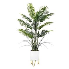 a potted palm plant in a white ceramic vase with gold metal legs on an isolated white background