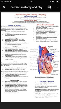 an open book showing the anatomy of the heart