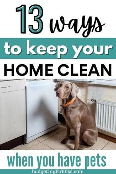 a dog sitting on the floor in front of a dishwasher with text overlay that reads 13 ways to keep your home clean when you have pets