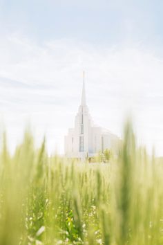 an image of a church in the middle of some tall grass with it's steeple visible