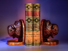 two bookends made out of wood with books in the shape of animals on them