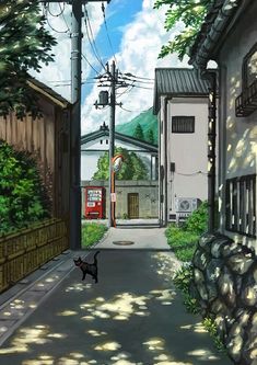 a black cat walking down an alley way next to a building and power lines in the background