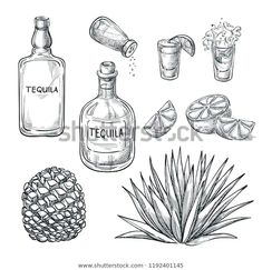 hand drawn tequila set with pineapple, alcohol bottle and other alcoholic drinks on white background