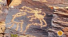 an animal painted on the side of a rock