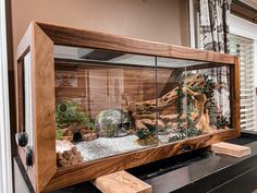 a fish tank filled with rocks and plants on top of a counter next to a window