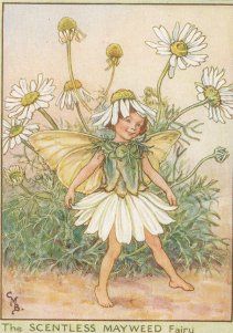 a painting of a fairy with daisies in her hands