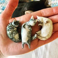 three miniature cats are in the palm of someone's hand, with a cat behind them