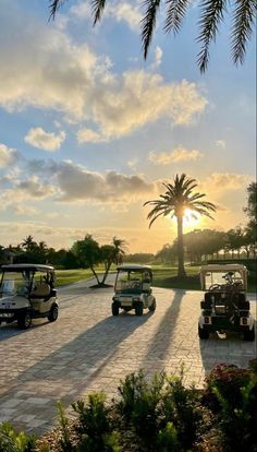 several golf carts parked on the side of a road near trees and palm trees at sunset