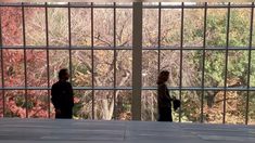 two people standing in front of a window looking out at the trees through bars that lead to them