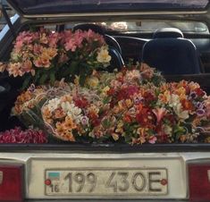 the back of a car with flowers in the trunk