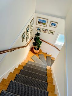 there is a potted plant on the top of this stair case and pictures above it