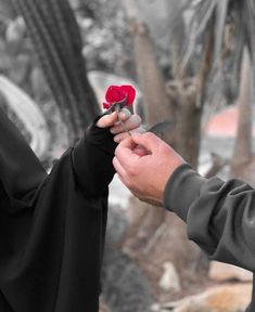 a man holding a flower in his hand while another person holds it with both hands