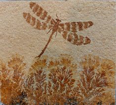 an image of a dragonfly painted on the side of a wall with leaves and grass