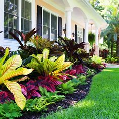 colorful flowers and plants in front of a white house