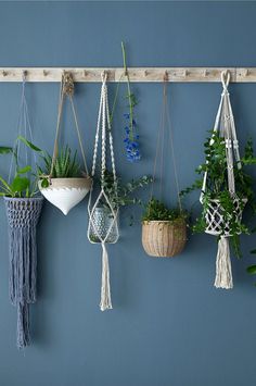 several hanging planters on a blue wall