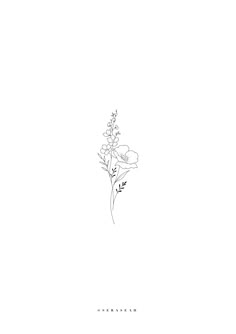 a line drawing of a flower on a white background