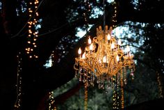 a chandelier hanging from the side of a tree in front of some lights