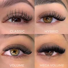 Types Of Eyelash Extensions, Lash Extentions, Eyelash Technician, Pretty Lashes