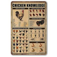 a poster with chickens and other types of birds on it's back side, which includes information about the different kinds of chickens