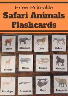 Pin text reads, free printable safari animals flashcards and shows image of them! Montessori Animal Cards Free Printable, Learning About Animals Preschool, Safari Themed Activities For Kids, Wild Animals Activities For Toddlers, Zoo Animals Flashcards, Animal Preschool Activities, Busy Toddler Activities, Wild Animals Flashcards