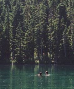 two people swimming in the middle of a lake surrounded by tall pine trees and evergreens