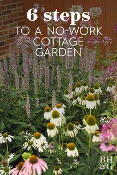 a garden with white and pink flowers in the foreground, text overlay reads 6 steps to a no - work cottage garden