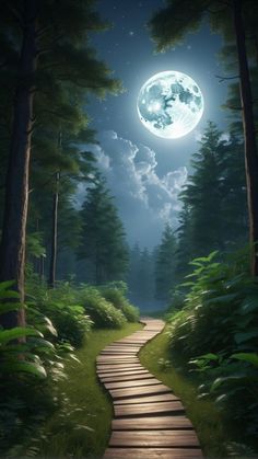 a pathway leading to the moon in the forest with trees and grass on either side