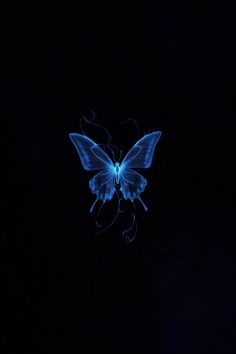 Background Images Butterfly
Cool Butterfly Wallpaper
Blue Black Butterfly Aesthetic
Cute Blue Butterfly Wallpaper Iphone
Butterfly Gradient Wallpaper
Blue Butterfly Wallpaper
Beautiful Butterfly Pictures
blue butterfly wallpaper
blue butterfly wallpaper aesthetic
blue butterfly wallpaper backgrounds
blue butterfly wallpaper iphone
blue butterfly wallpaper dark
blue butterfly wallpaper ipad
blue butterfly wallpaper iphone hd
butterfly wallpaper blue aesthetic
butterfly wallpaper blue background Blue Black Butterfly Aesthetic, Butterfly Wallpapers For Iphone, Black N Blue Wallpaper, Aesthetic Blue And Black Wallpaper, Dark Blue Butterfly Aesthetic, Dark Blue Black Aesthetic, Black And Blue Aesthetic Dark, Dark Blue Butterfly Wallpaper Aesthetic, Blue Butterfly Black Background