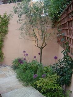 an outdoor garden with stone steps and plants growing on the wall, along with a tree