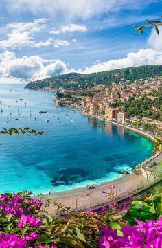 an aerial view of a beach with boats in the water and purple flowers on the shore