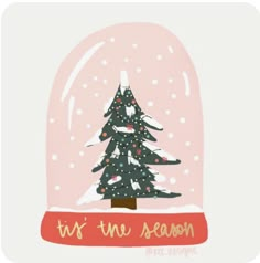 a snow globe with a christmas tree in it and the words tis'the season below