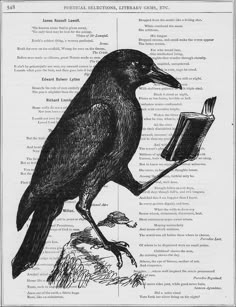 a black bird sitting on top of a book with an open page in it's beak