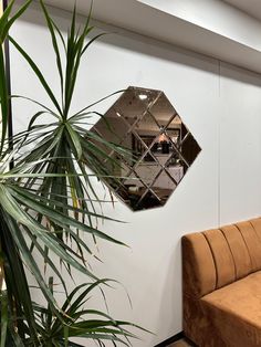 a mirror hanging on the side of a wall next to a couch and potted plant