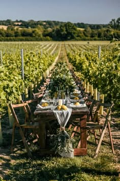 a table set up in the middle of a vineyard