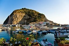 many boats are docked in the water near a large rock and some buildings on top of a hill