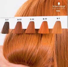 Copper Blonde Hair Color, Cheveux Oranges, Hair Color Orange, Different Shades Of Red