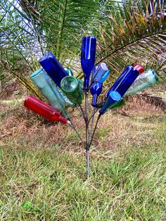 there are many different colored glass bottles in the grass near a palm tree with no leaves on it