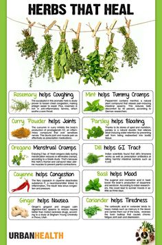 Pinterest Login Medicinal Herbs Garden, Medical Herbs, Natural Healing Remedies, Healing Plants, Home Health Remedies, Herbal Healing, Herbs For Health