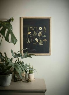 some plants are sitting on a table in front of a painting