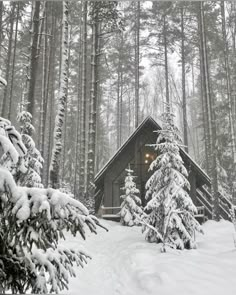 the cabin is surrounded by snow covered trees